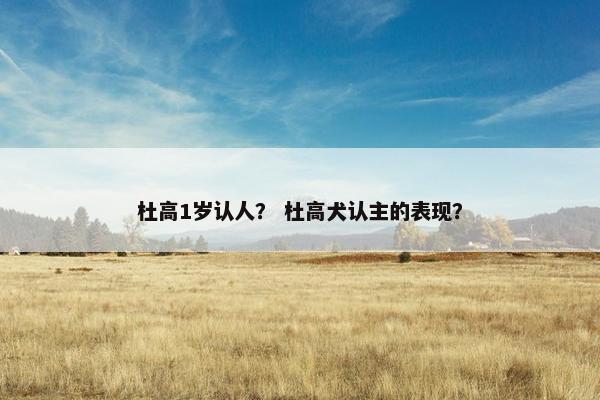 杜高1岁认人？ 杜高犬认主的表现？