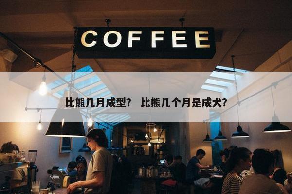 比熊几月成型？ 比熊几个月是成犬？