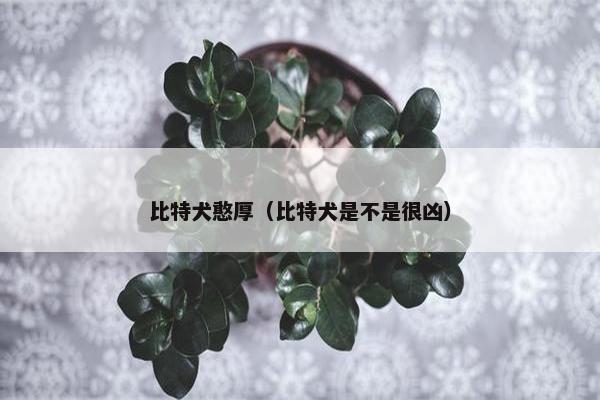 比特犬憨厚（比特犬是不是很凶）