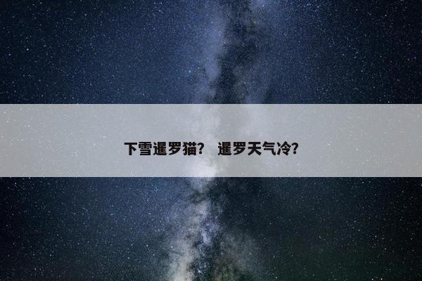 下雪暹罗猫？ 暹罗天气冷？