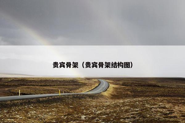 贵宾骨架（贵宾骨架结构图）