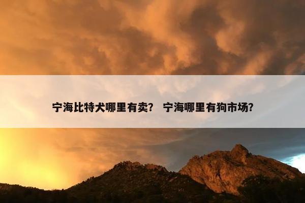 宁海比特犬哪里有卖？ 宁海哪里有狗市场？