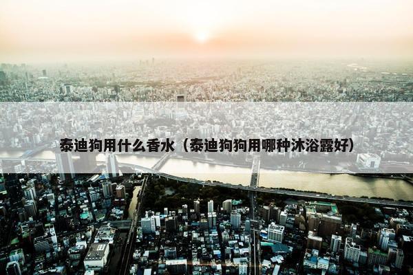泰迪狗用什么香水（泰迪狗狗用哪种沐浴露好）