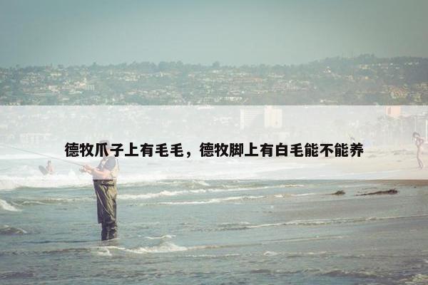 德牧爪子上有毛毛，德牧脚上有白毛能不能养