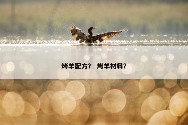 烤羊配方？ 烤羊材料？