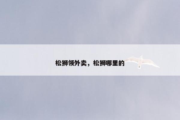 松狮领外卖，松狮哪里的