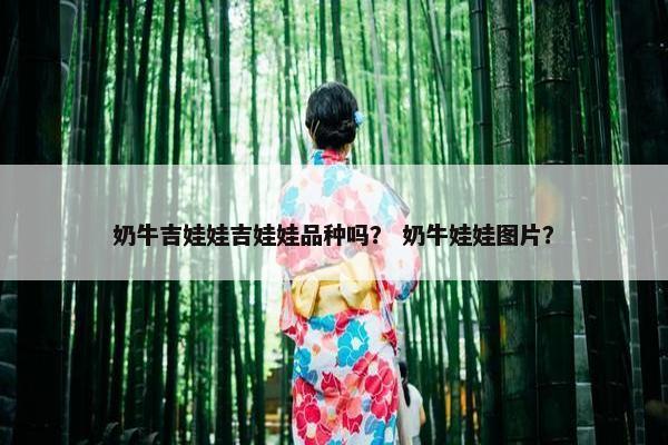 奶牛吉娃娃吉娃娃品种吗？ 奶牛娃娃图片？
