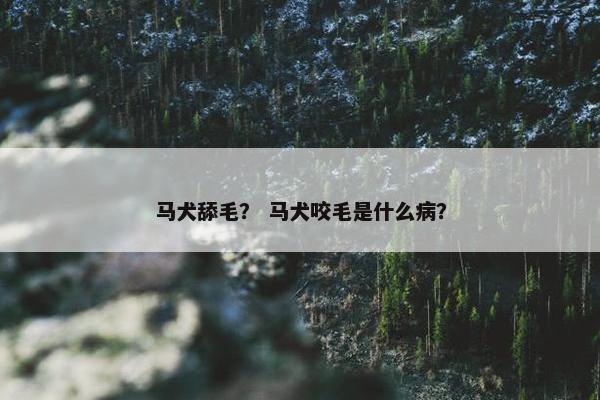 马犬舔毛？ 马犬咬毛是什么病？
