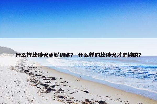 什么样比特犬更好训练？ 什么样的比特犬才是纯的？
