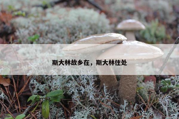 斯大林故乡在，斯大林住处