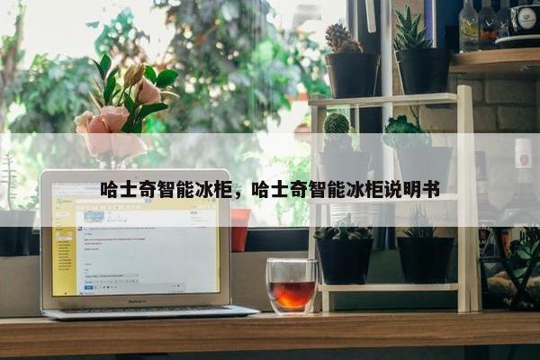 哈士奇智能冰柜，哈士奇智能冰柜说明书