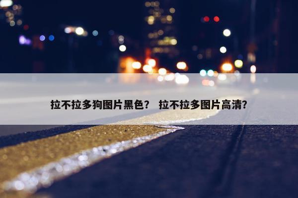拉不拉多狗图片黑色？ 拉不拉多图片高清？