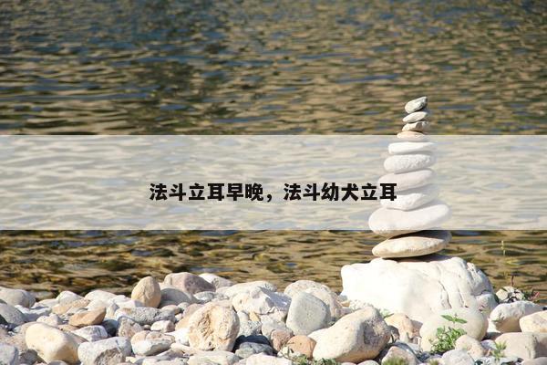 法斗立耳早晚，法斗幼犬立耳