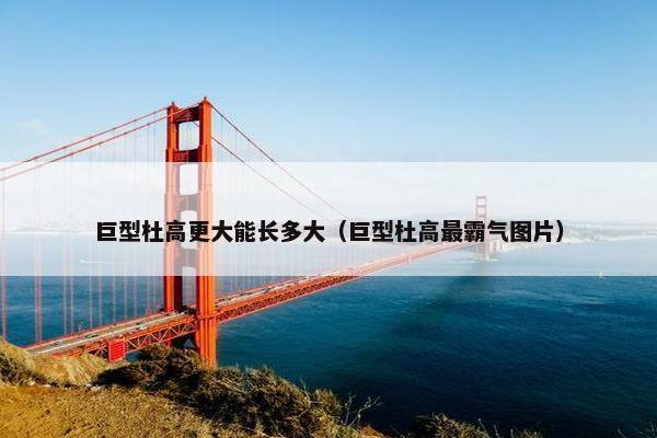 巨型杜高更大能长多大（巨型杜高最霸气图片）