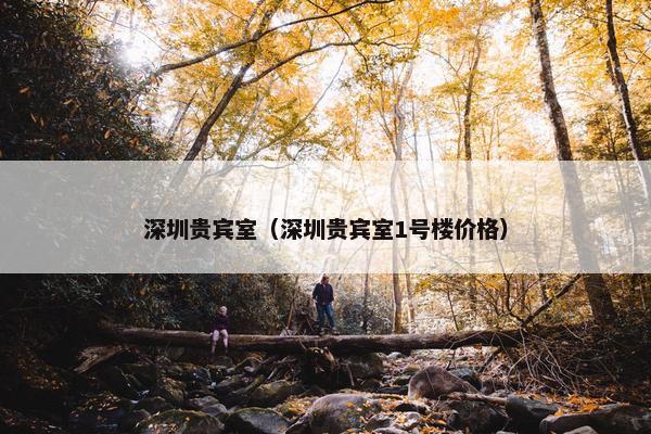 深圳贵宾室（深圳贵宾室1号楼价格）