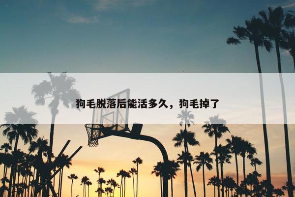 狗毛脱落后能活多久，狗毛掉了