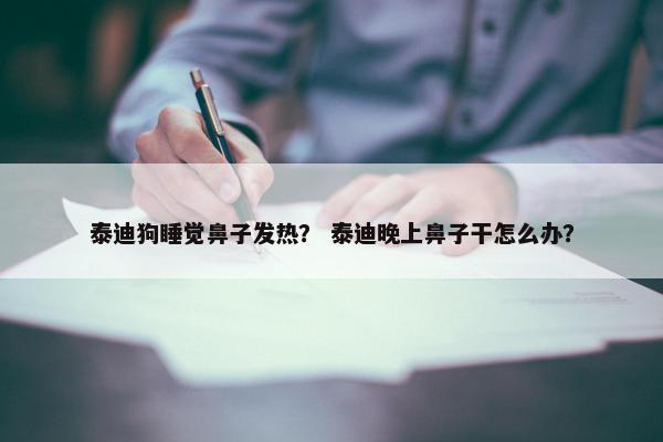 泰迪狗睡觉鼻子发热？ 泰迪晚上鼻子干怎么办？
