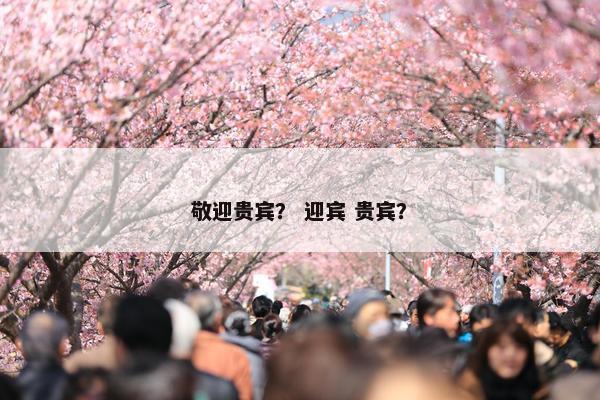 敬迎贵宾？ 迎宾 贵宾？