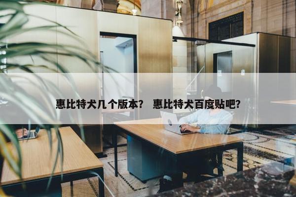 惠比特犬几个版本？ 惠比特犬百度贴吧？