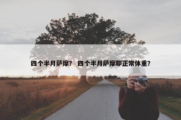 四个半月萨摩？ 四个半月萨摩耶正常体重？