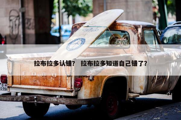 拉布拉多认错？ 拉布拉多知道自己错了？