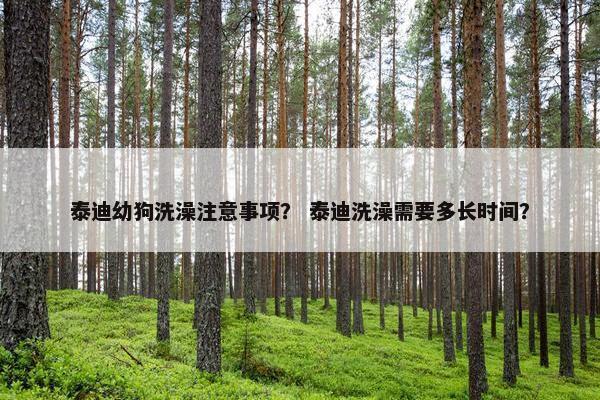 泰迪幼狗洗澡注意事项？ 泰迪洗澡需要多长时间？