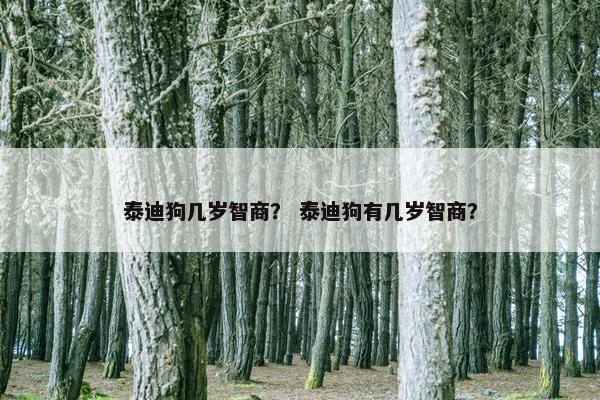 泰迪狗几岁智商？ 泰迪狗有几岁智商？