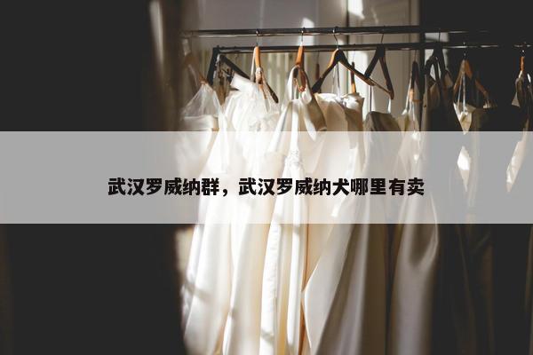 武汉罗威纳群，武汉罗威纳犬哪里有卖