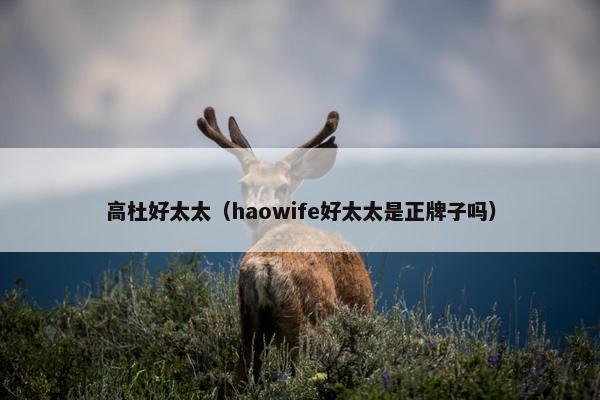 高杜好太太（haowife好太太是正牌子吗）