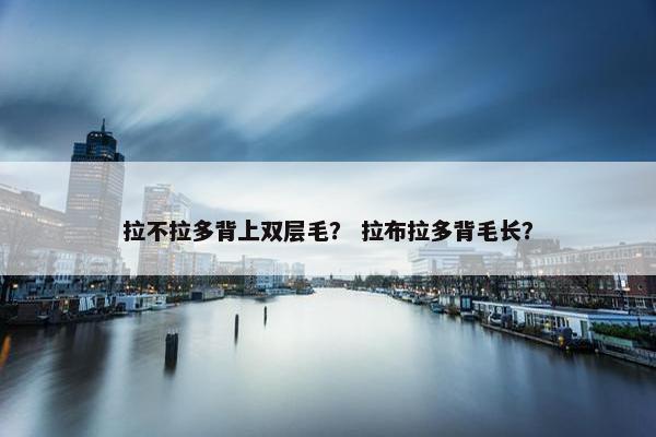 拉不拉多背上双层毛？ 拉布拉多背毛长？