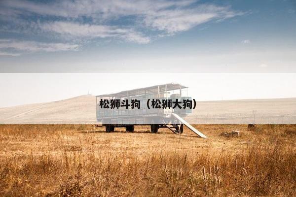 松狮斗狗（松狮大狗）