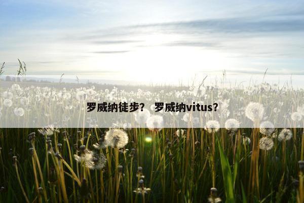 罗威纳徒步？ 罗威纳vitus？