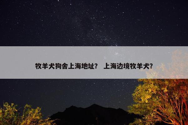 牧羊犬狗舍上海地址？ 上海边境牧羊犬？