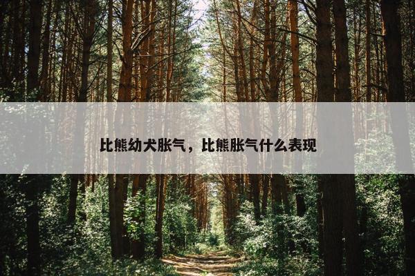 比熊幼犬胀气，比熊胀气什么表现