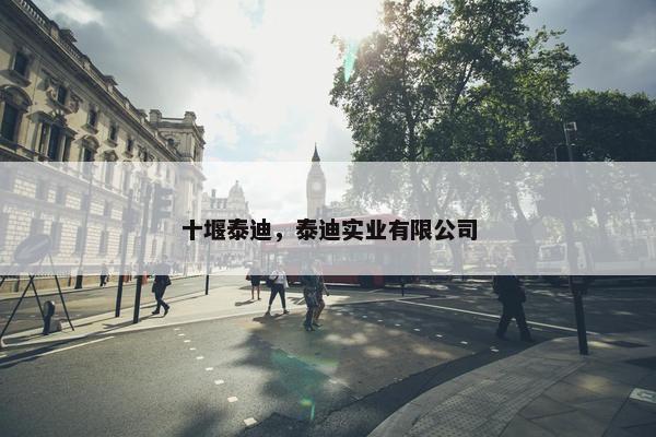 十堰泰迪，泰迪实业有限公司