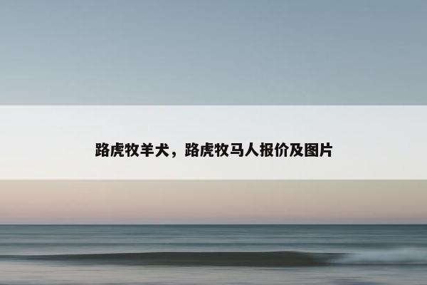 路虎牧羊犬，路虎牧马人报价及图片