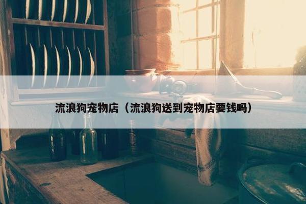 流浪狗宠物店（流浪狗送到宠物店要钱吗）
