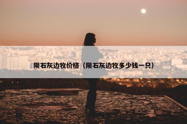 陨石灰边牧价格（陨石灰边牧多少钱一只）