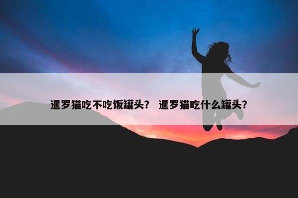 暹罗猫吃不吃饭罐头？ 暹罗猫吃什么罐头？