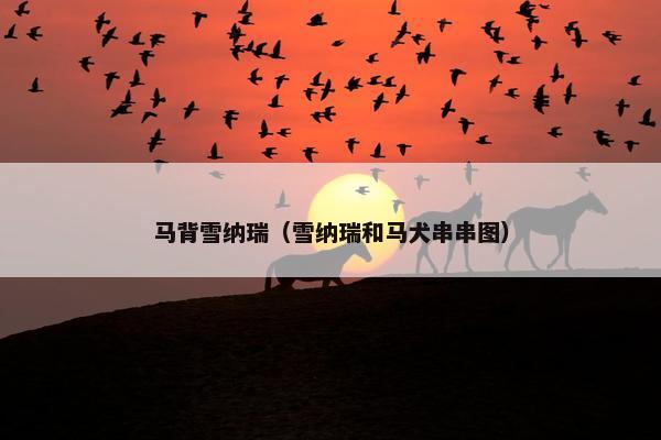 马背雪纳瑞（雪纳瑞和马犬串串图）