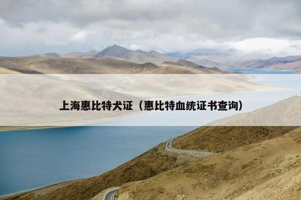 上海惠比特犬证（惠比特血统证书查询）