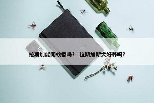 拉斯加能闻蚊香吗？ 拉斯加斯犬好养吗？