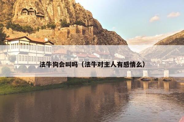 法牛狗会叫吗（法牛对主人有感情么）