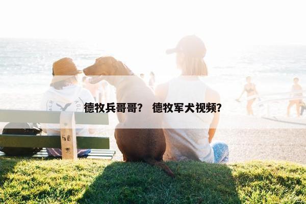 德牧兵哥哥？ 德牧军犬视频？