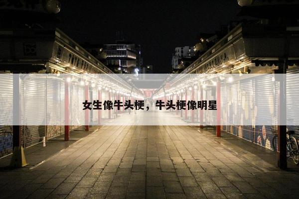 女生像牛头梗，牛头梗像明星
