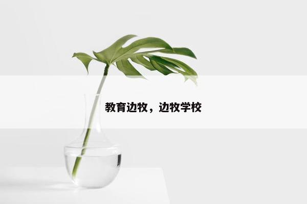 教育边牧，边牧学校