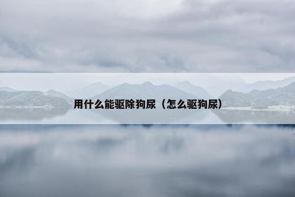 用什么能驱除狗尿（怎么驱狗尿）