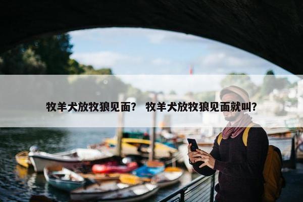 牧羊犬放牧狼见面？ 牧羊犬放牧狼见面就叫？