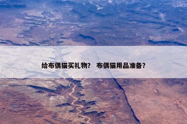 给布偶猫买礼物？ 布偶猫用品准备？