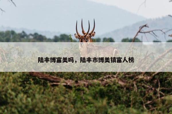 陆丰博富美吗，陆丰市博美镇富人榜